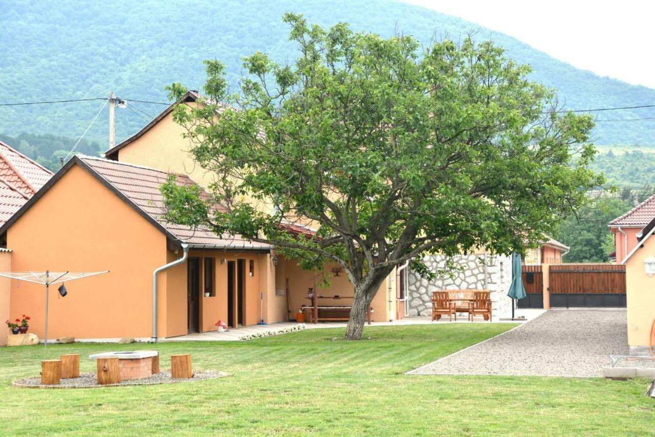 Felsőtárkány Panorama Vendeghaz / Guesthouse מראה חיצוני תמונה
