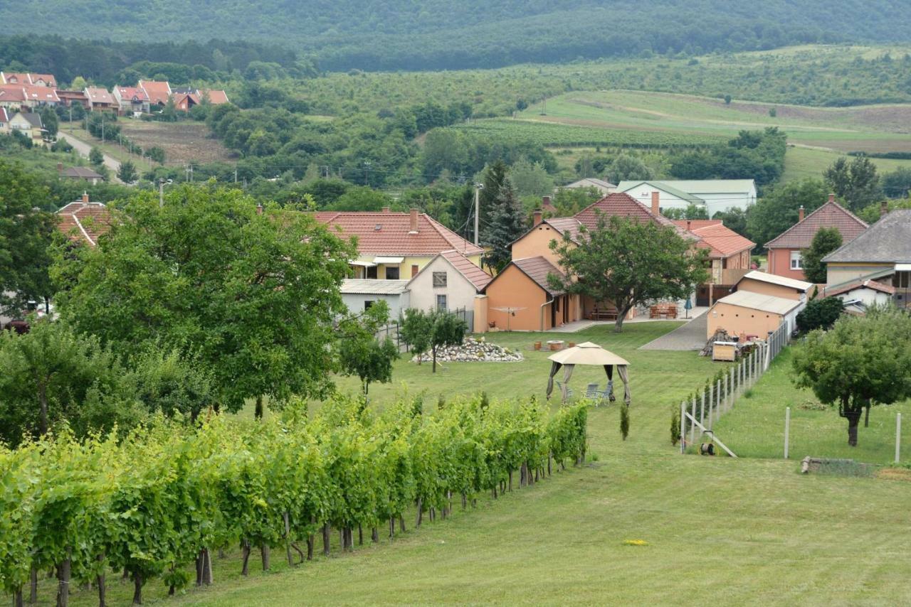 Felsőtárkány Panorama Vendeghaz / Guesthouse מראה חיצוני תמונה