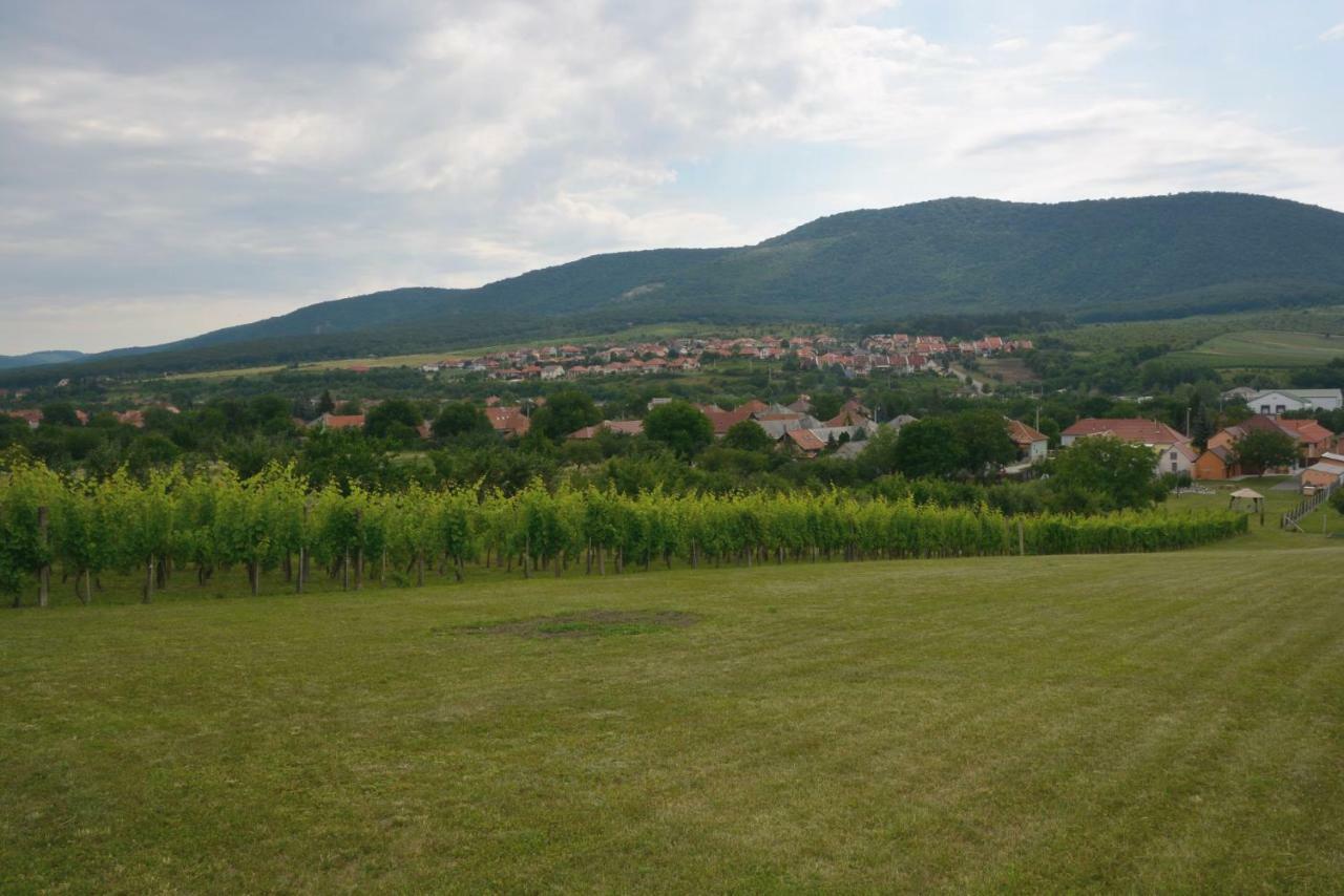 Felsőtárkány Panorama Vendeghaz / Guesthouse מראה חיצוני תמונה
